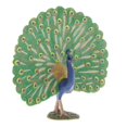 thumbnail image 5 of Xingzhi Modèle d'Animal de Simulation Jouets Éducatifs pour Enfants Paon PL127-1434, 5 of 5