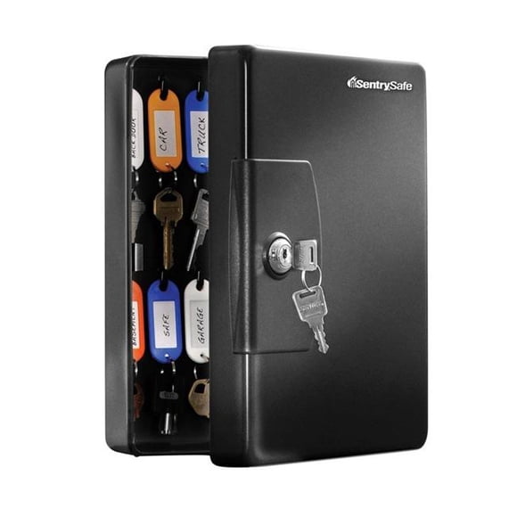 Sentry Safe 5015519 Steel Key Cabinet, Black