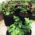 thumbnail image 3 of 3Pcs Plant Bags Nonwoven Cloth Pot Gardening Vegetable,Potato Planter Bag, 3 of 7