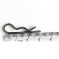 thumbnail image 4 of koolsoo 10pcs Stainless Steel R Clip Clevis Pin Shaft 1.6mm Heavy Duty Retaining Clip 1.6x32mm, 4 of 6