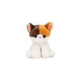 thumbnail image 4 of 4" chat calico, 4 of 5
