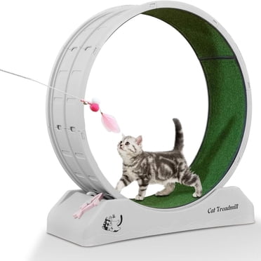 axGear Tapis Roulant pour Chat, Roue d'Entraînement, Jouet d'Exercice pour Animal, Intérieur, Jouet Teaser