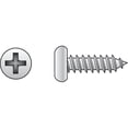 thumbnail image 1 of 10 x 2 in. Stainless Steel Pan Head Sheet Metal Screw - 100 Per Box, 1 of 1