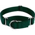 thumbnail image 1 of Country Brook Petz - Martingale Dog Collar - Heavy-Duty Training Collar with No Buckle - Service Dog Collar for All Pups - 10+ Cool Colors (Green, 1 Inch, Large), 1 of 8