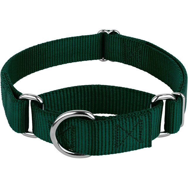 Country Brook Petz - Martingale Dog Collar - Heavy-Duty Training Collar with No Buckle - Service Dog Collar for All Pups - 10+ Cool Colors (Green, 1 Inch, Large)