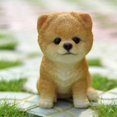 thumbnail image 1 of Hi-Line Gift Ltd Chiot Poméranien Assis, 6 Pouces, 1 of 1