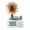 Blue, variant on Milaget Turntable Player Bluetooth 5.0 Classic for Decoration Pink