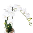 thumbnail image 3 of Anko Artificial Orchid in White Pot, 3 of 6