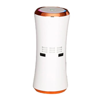 Adult Electric Toothbrush Home Purifier, True Filter For Rooms Up , Wildfire Smoke, Allergens, Pet Allergies,, Auto Mode, Silent