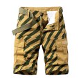 thumbnail image 1 of Birdeem Mens Stripe Directional Sign Work Shorts Mid-Waist Multi-Pocket Five-Piece Pants Casual Shorts Pants, 1 of 9