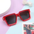 thumbnail image 3 of FEISEDY Retro Flat Top Sunglasses Thick Square Frame Metal Buckle Hip Hop Rapper Men Women B7033, 3 of 6