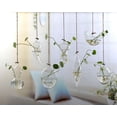 thumbnail image 4 of Hanging Glass Flowers Plant Vase Bottle Terrarium Container Home Garden Decors, 4 of 5