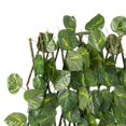 thumbnail image 3 of Langgg Clôture de Jardin Rétractable Écran d'Intimité Extérieur Feuilles Persistantes, 3 of 9