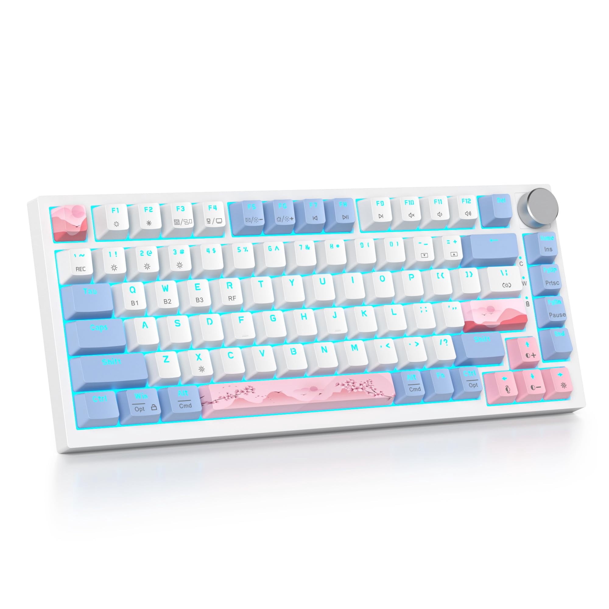 SbocKeeb 75% Wireless Creamy Pink Mechanical Keyboard, Hot Swappable Custom Keyboard, RGB Backlit Gasket Gaming Keyboard, 2.4G/BT5.0/USB-C Mechanical Keyboard, Pre-lubed