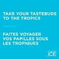 thumbnail image 2 of Sparkling Ice Coconut Pineapple 503ml, 2 of 7