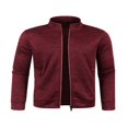 thumbnail image 2 of Veste en Tricot à Fermeture Éclair pour Homme, Décontractée, Ample, Col Montant, Manches Longues, 2 of 6
