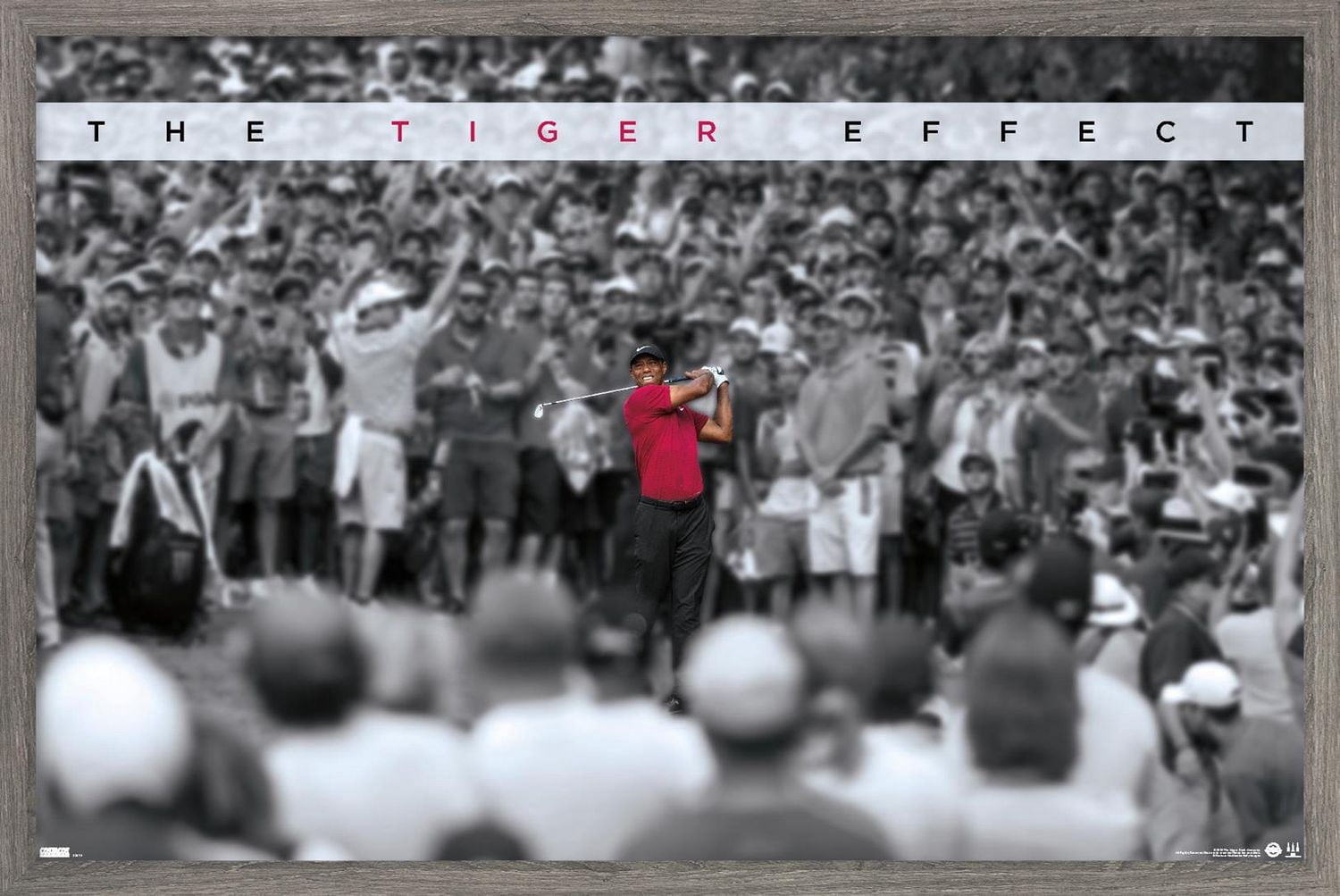 Tiger Woods - The Tiger Effect Wall Poster, 22.375" x 34"
