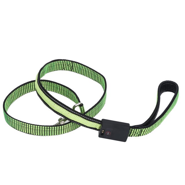 Corde de Traction pour Chien, Réfléchissant LED Laisse pour Chien en Nylon Rechargeable Réglable pour Petits Chiens Moyens Bleu, Rouge, Vert