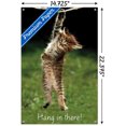 thumbnail image 3 of Célèbre chaton accroché là-bas Poster, 3 of 5