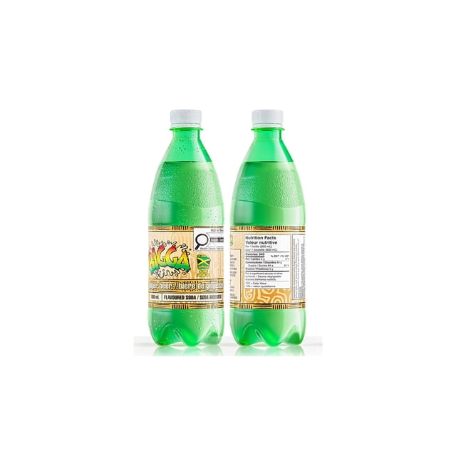 BIGGA FLAVOURED SODA - GINGER BEER showing two 600 mL green plastic bottles with condensation, front and back views. The front label features the colorful BIGGA logo and Jamaican flag, indicating a bold, caffeine-free ginger beer soda. The back label displays nutrition facts including 340 calories and 84 g sugars per bottle. This sparkling soft drink is a Caribbean favorite and often used as a cocktail mixer.