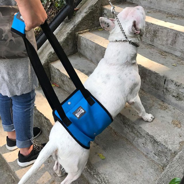 Dog Lift Sling Harness | Heavy Duty Adjustable | Support for Elderly Senior Dogs with Front/Rear Leg Knee Joint Hip Injuries | Assist Pet