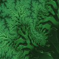thumbnail image 1 of Ahgly Tapis d'Intérieur Lavable en Machine Carré Vert Émeraude Profond Transitionnel, 7 Pieds Carré, 1 of 7