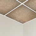 thumbnail image 3 of Great Lakes Tin Chicago Champagne 2ft x 2ft Lay In Ceiling Tiles (5 Pack), 3 of 6