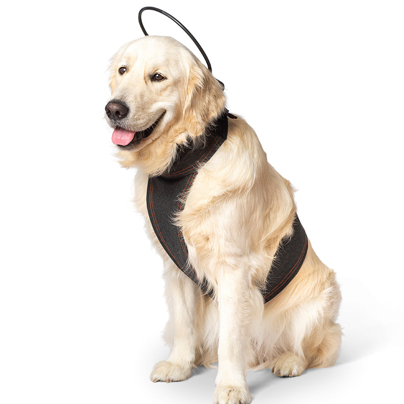 Calmer Canine Anxiety Treatment System Bundle