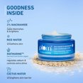 thumbnail image 4 of Plum Goodness thinkDERMA Niacinamide  Rice Water Clear Moisture Gel Cream - 50 gms, 4 of 9