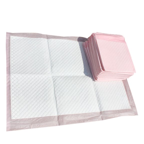 Alèses Jetables pour Animaux, Tapis d'Entraînement Pipi, Absorbantes, Réduisant les Odeurs, Entraînement Pipi, Usage Unique, Alèses TG, 20 Pcs