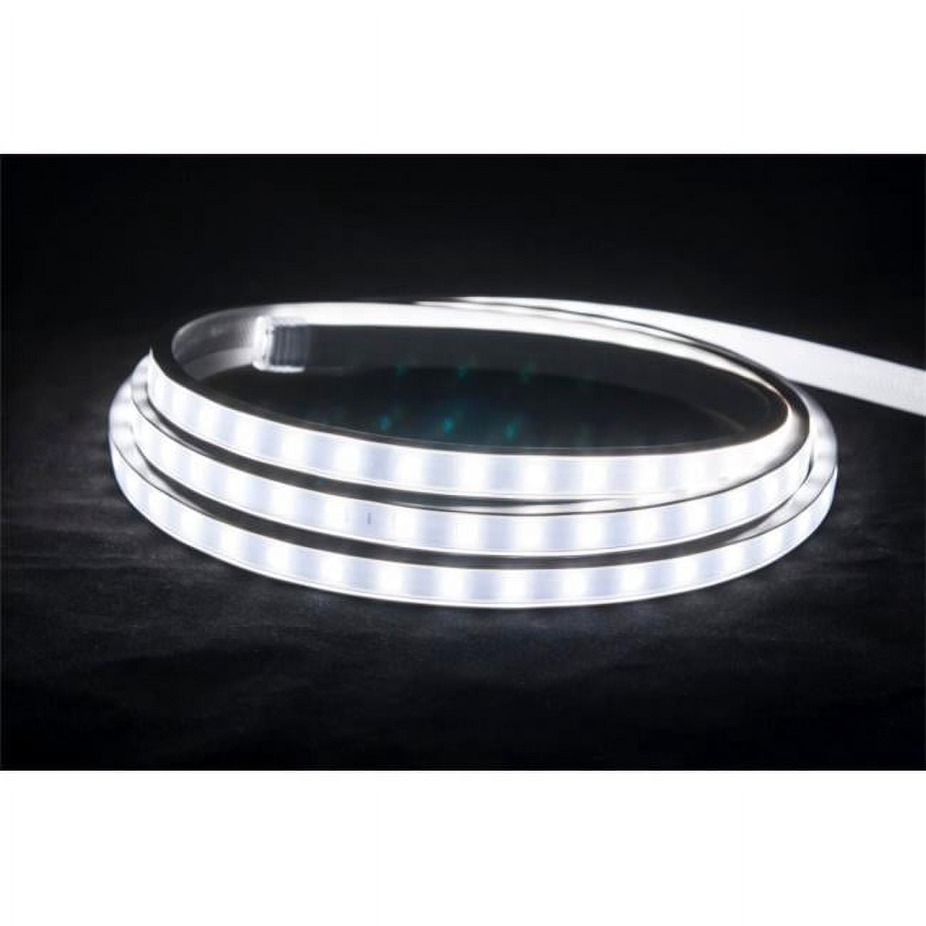 American Lighting 120-H2-WH 5000K 180 Lumon by ft. Hybrid 2 LED 150 Foot Reel 120V 2.6 watt by ft. Bright White