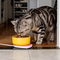 thumbnail image 3 of Distributeur Intelligent de Nourriture pour Chat à Température Contrôlée avec Bol en Céramique Isolé par USB pour Usage Intérieur, Plateau de Repas à Chauffage Automatique, Chauffage Intégré et Station d'Alimentation, Soins pour Animaux, 3 of 3