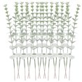 thumbnail image 4 of relayinert Lot de 12/lot Bouquet de Plantes Simulées à Bas Prix avec Fil de Fer à Haute Efficacité avec Plasticité Arbitraire Poudre Verte d'Eucalyptus 5 Pcs, 4 of 6