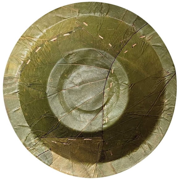 Bols à Usage Unique Feuille de Palash-Sal 4 Pouces/naturels, Biodégradables, Compostables pour Jardin, Certifiés USDA/fêtes, Festival, Mariage, Fournitures Jetables BBQ/Lot de 50 Ou 102