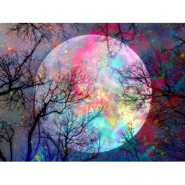 Paint by Numbers for Adults, DIY Oil Painting Paint by Number Kits on Canvas with Brushes, Moon 16 x 20 Inch No Frame