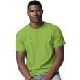 thumbnail image 1 of Hanes TAGLESS Men`s T-Shirt - Best-Seller, L, Lime, 1 of 6