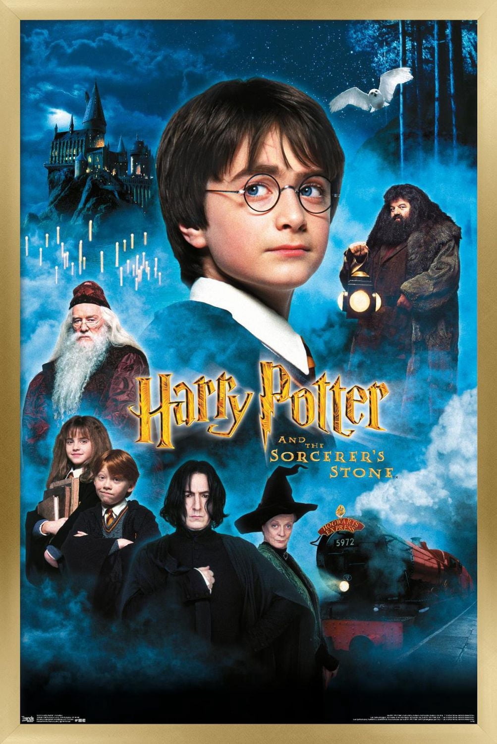 Harry Potter à l'école des sorciers - Bougies One Sheet