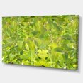 thumbnail image 2 of Feuillage Vert Fuchsia Vif - Impression Artistique sur Toile Florale, 2 of 4