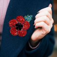 thumbnail image 2 of 5pcs Poppy Badges Pin Brooch Crystal Enamel Badge 2020 Red Poppy Branch, 2 of 8