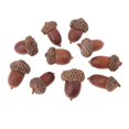 thumbnail image 2 of 20 Pièces Mini Glands pour l'Artisanat, DlY, Fournitures d'Artisanat, Chêne Rouge Réel, 2 of 8