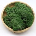 thumbnail image 1 of Potted Garden Product Turntable compatible with Motorized Photography Photo Props Birthday Background Paper for Video Portable Light for Photography for Phone Photographer 5x5, 1 of 3