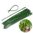 thumbnail image 1 of 30 Pcs Liens Verts Polyvalents pour Arbres et Vignes, Plastique, Liens Horticoles Fixes, Sangle de Lien, Jardin, Lien pour Arêtes de Poisson, 1 of 9