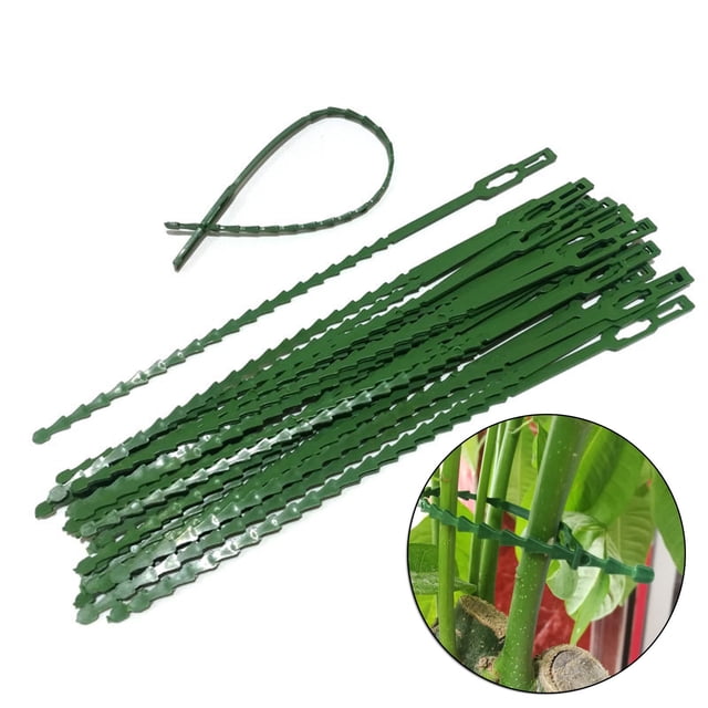 30 Pcs Liens Verts Polyvalents pour Arbres et Vignes, Plastique, Liens Horticoles Fixes, Sangle de Lien, Jardin, Lien pour Arêtes de Poisson