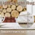 thumbnail image 2 of Rugking Area Rug 5X7 Kitchen Soft Rug Indoor Mat Geometric Print Floor Cover Thin Modern Carpet Doormat Non Slip Rugs for Living Bedroom Dining Room Taupe, 2 of 6