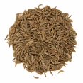thumbnail image 1 of Graines de Carvi Moulues, 1 of 1