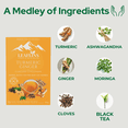 thumbnail image 3 of LEAFLINS TURMERIC GINGER BLACK TEA BAGS (PACK OF 2), 3 of 8