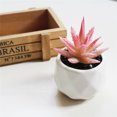 thumbnail image 3 of Coofit 3PCS Artificial Succulents Mini Decorative Potted Fake Succulents Faux Plants, 3 of 9