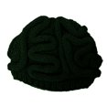 thumbnail image 1 of Funny Brain Knitted Hat,Knitted Personalized Brain Hat,Winter Hat, 1 of 1