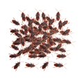 thumbnail image 3 of 100Pcs Fake Roaches Roach Party Favors, Funny Tricky Toys, Simulation Artificial S, 3 of 9