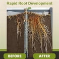 thumbnail image 3 of Rooting Tool for Enhanced Growth Phytovitamin Solution 50ml for Optimal Development and Transformation Gardening Aid for Propagation and Strengthening, 3 of 7